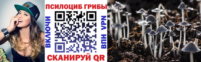 Псилоцибиновые грибы Psilocybe  купить  цена  площадка официальный сайт  Хилок  ссылка на мегу как зайти 