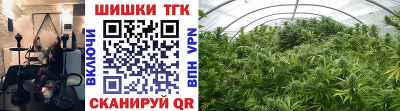 где купить наркоту  Хилок  Шишки марихуана THC 21% 